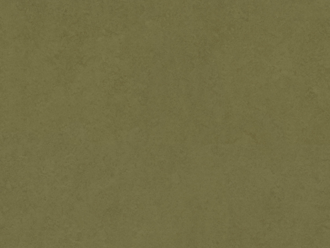 Eternal Original - 68722 olive